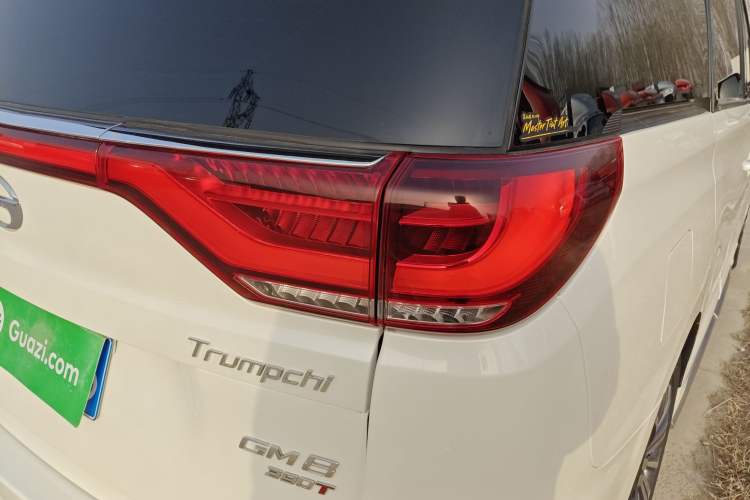 Used GAC Trumpchi M8 2020 Master Edition 390T Supreme Version Exterior 6