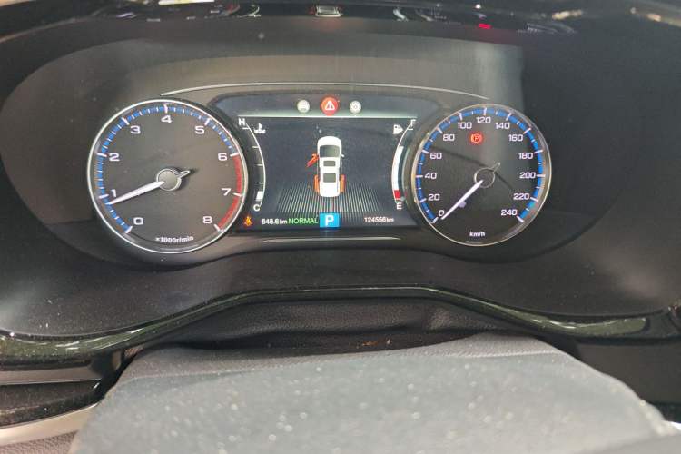 Used GAC Trumpchi M8 2020 390T Deluxe Edition Odometer Close Up