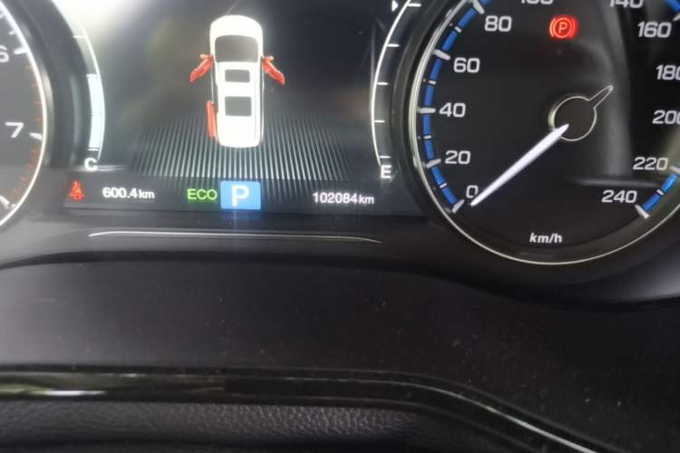 Used GAC Trumpchi M8 2020 Flagship Model 390T Prestige Edition Odometer Close Up