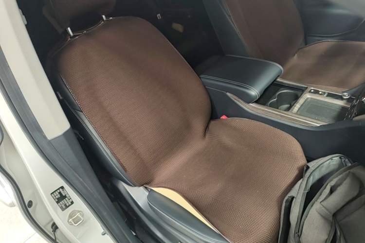Used GAC Trumpchi M8 2020 Flagship Model 390T Supreme Edition Right Front Seat