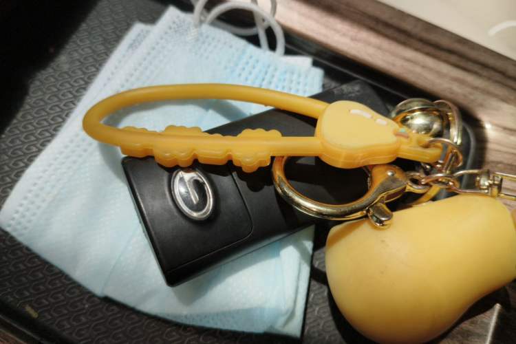Used GAC Trumpchi M8 2020 390T Deluxe Edition Vehicle Key