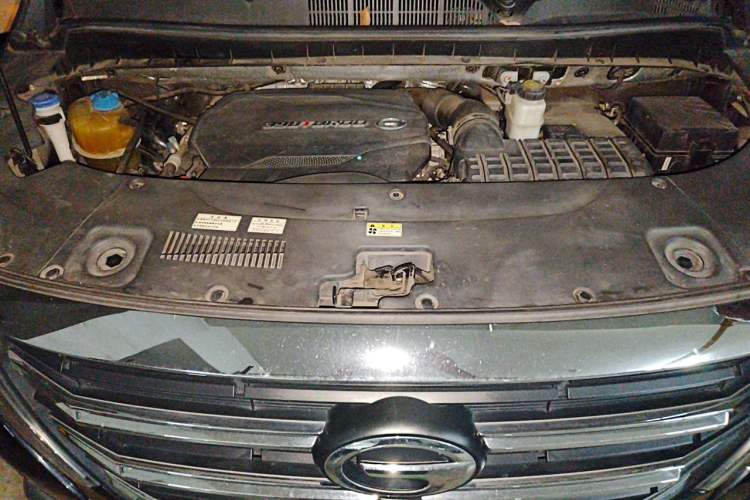 Used GAC Trumpchi M8 2021 Lingxiu Series 390T Ultimate Edition Engine Bay
