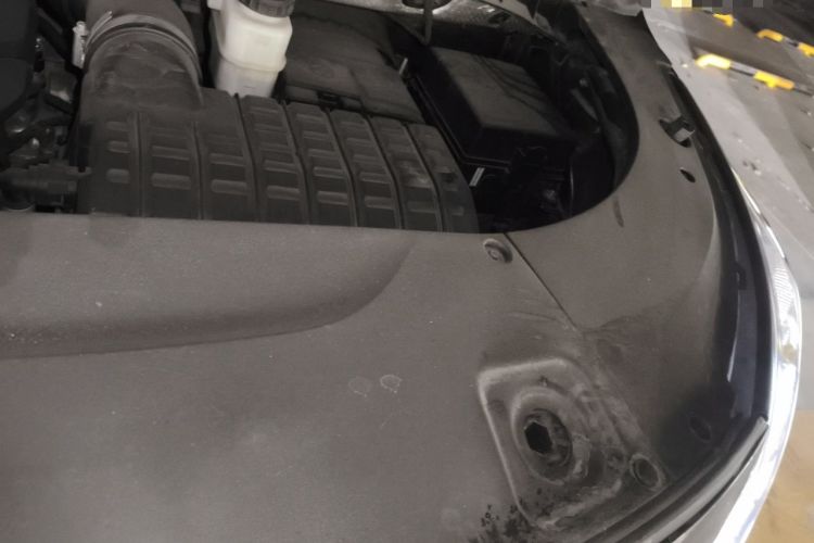 Used GAC Trumpchi M8 2021 Lingxiu Series 390T Ultimate Edition Engine Bay Left