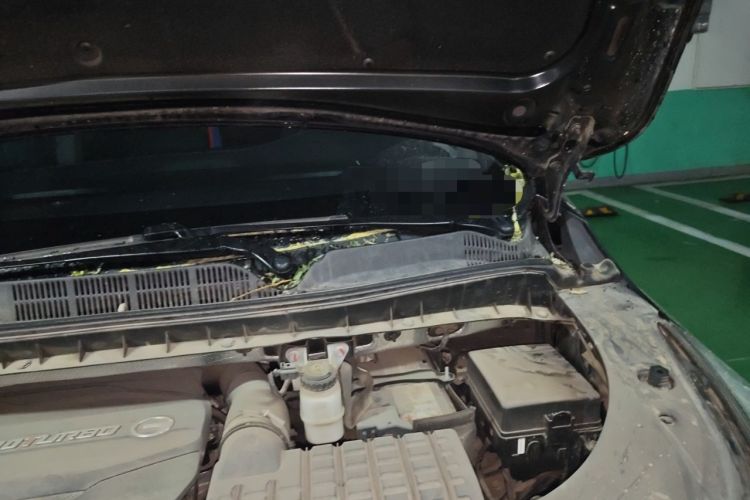 Used GAC Trumpchi M8 2021 Lingxiu Series 390T Deluxe Edition Engine Bay Left