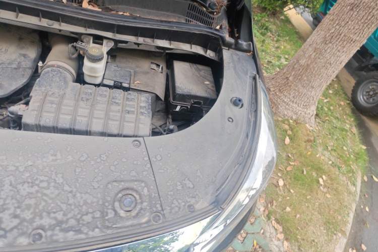 Used GAC Trumpchi M8 2021 Lingxiu Series 390T Deluxe Edition Engine Bay Left