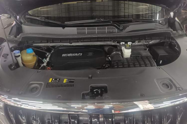 Used GAC Trumpchi M8 2021 Lingxiu Series 390T Deluxe Edition Engine Bay