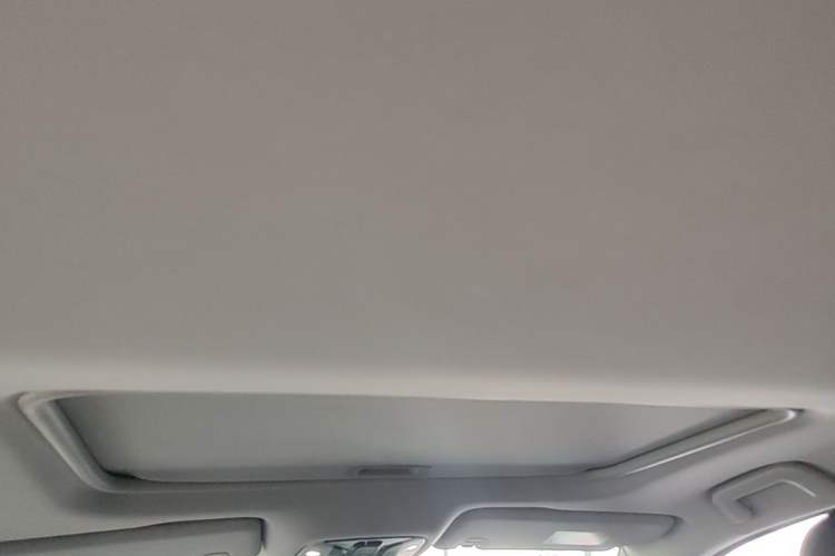 Used GAC Trumpchi M8 2021 Master Series 390T Prestige Edition Headliner