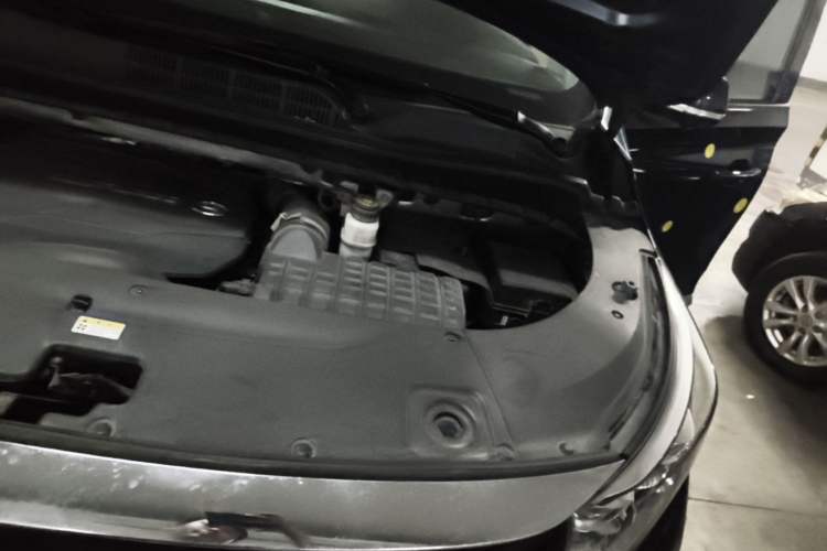 Used GAC Trumpchi M8 2021 Lingxiu Series 390T Ultimate Edition Engine Bay Left
