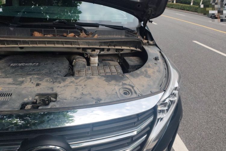 Used GAC Trumpchi M8 2021 Lingxiu Series 390T Deluxe Edition Engine Bay Left