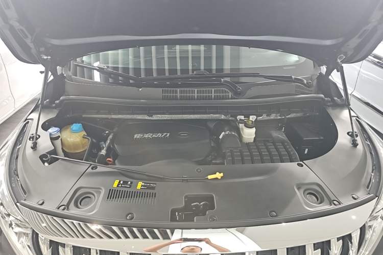 Used GAC Trumpchi M8 2021 Lingxiu Series 390T Ultimate Edition Engine Bay