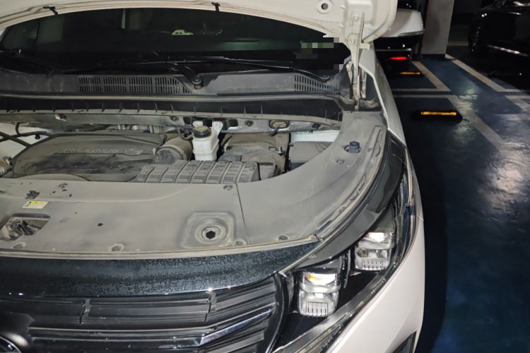 Used GAC Trumpchi M8 2021 Lingxiu Series 390T Ultimate Edition Engine Bay Left