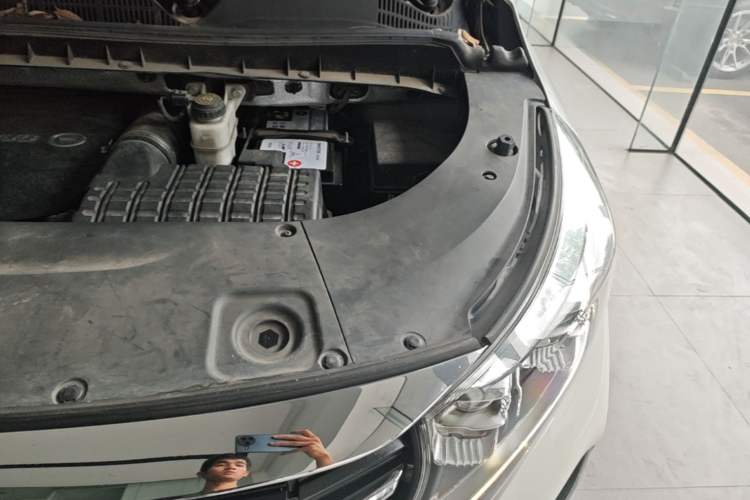 Used GAC Trumpchi M8 2021 Lingxiu Series 390T Ultimate Edition Engine Bay Left