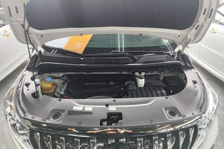 Used GAC Trumpchi M8 2021 Master Series 390T Ultimate Edition Engine Bay