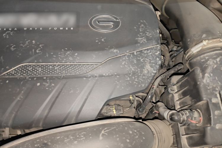Used GAC Trumpchi M8 2021 Lingxiu Series 390T Deluxe Edition Engine Bay