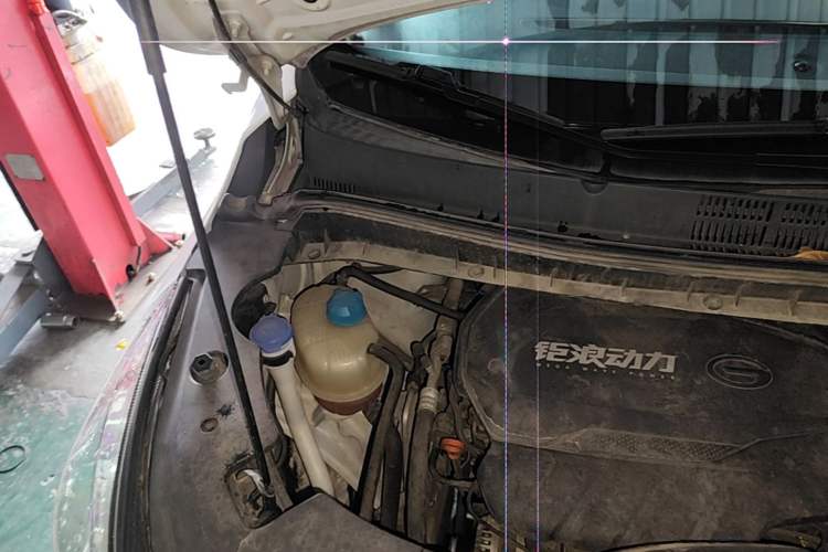 Used GAC Trumpchi M8 2021 Lingxiu Series 390T Luxury Edition Engine Bay Right