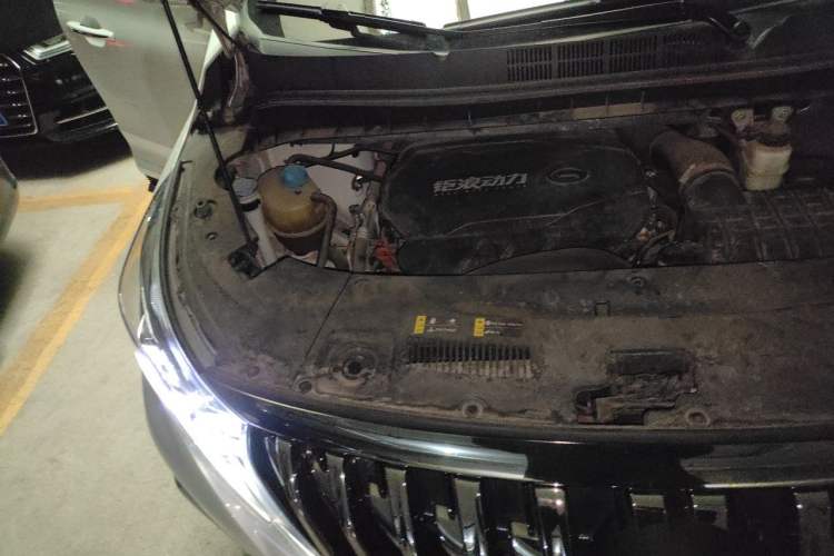 Used GAC Trumpchi M8 2021 Master Series 390T Ultimate Edition Engine Bay Right
