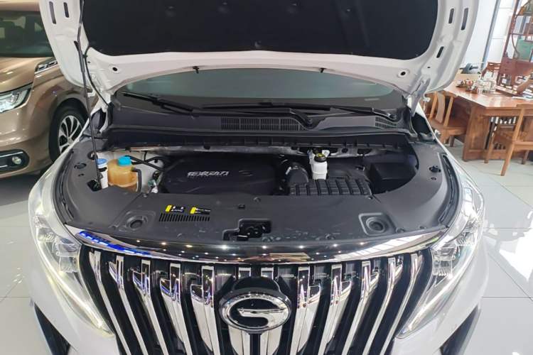 Used GAC Trumpchi M8 2021 Master Series 390T Prestige Edition Engine Bay