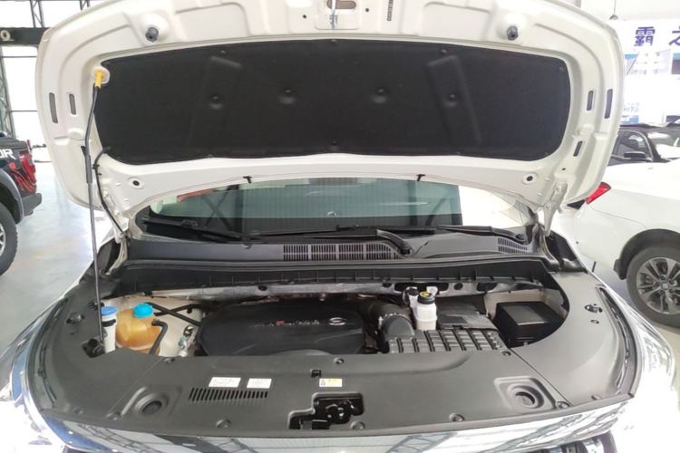 Used GAC Trumpchi M8 2021 Lingxiu Series 390T Deluxe Edition Engine Bay
