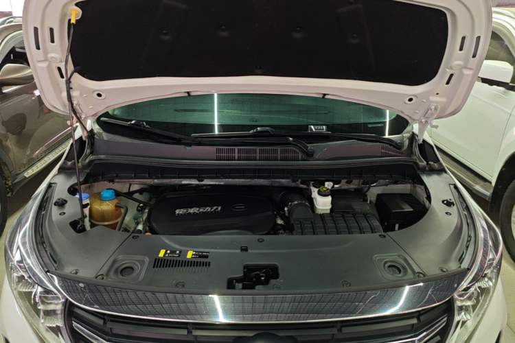 Used GAC Trumpchi M8 2021 Lingxiu Series 390T Deluxe Edition Engine Bay