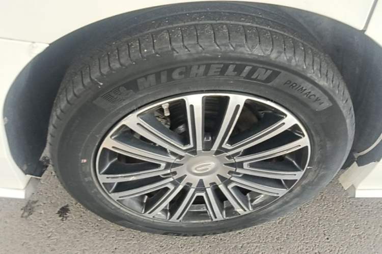 Used GAC Trumpchi M8 2021 Master Series 390T Prestige Edition Exterior 5