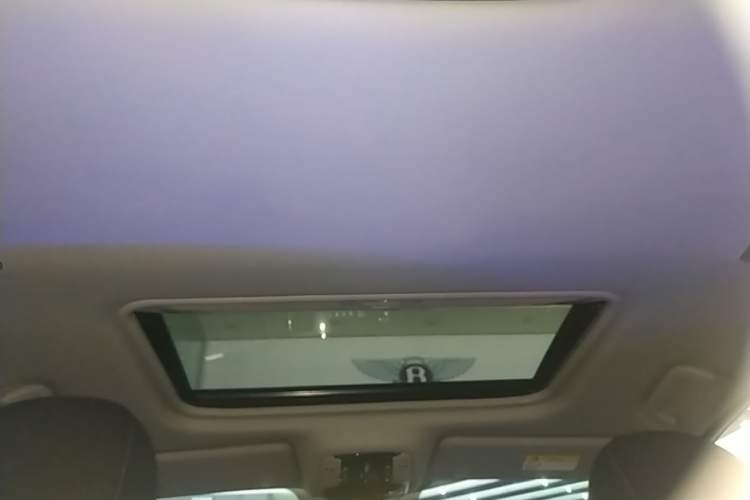 Used GAC Trumpchi M8 2021 Master Series 390T Prestige Edition Headliner