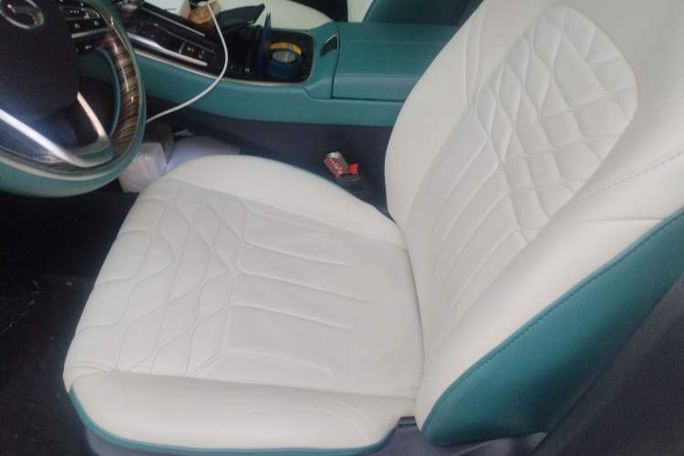 Used GAC Trumpchi M8 2021 Lingxiu Series 390T Deluxe Edition Left Front Seat