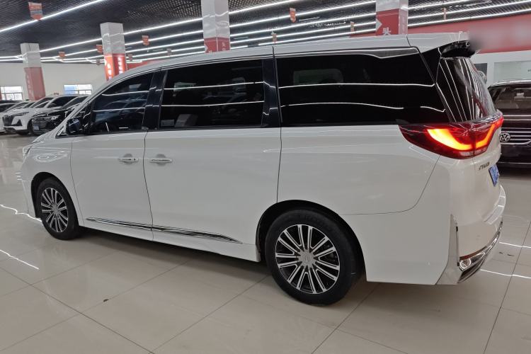 Used GAC Trumpchi M8 2021 Lingxiu Series 390T Deluxe Edition Left Side
