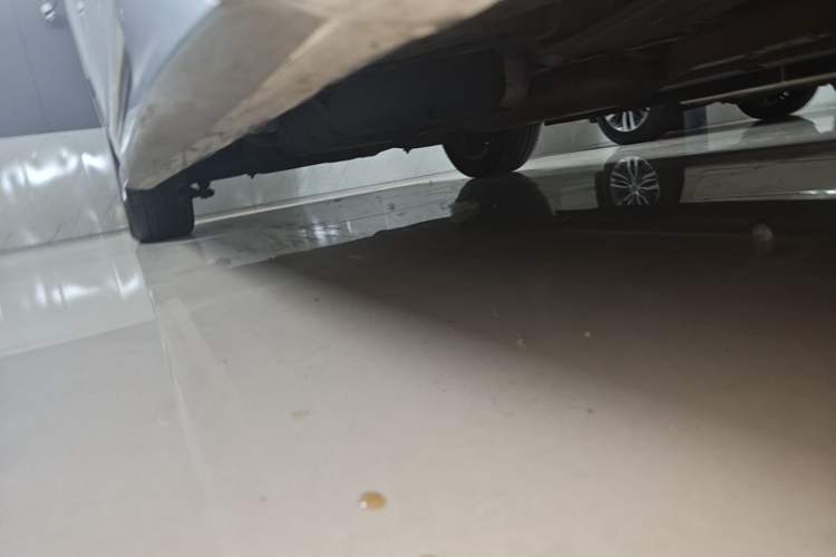 Used GAC Trumpchi M8 2021 Master Series 390T Ultimate Edition Right Side Sill