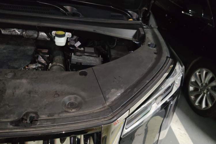 Used GAC Trumpchi M8 2023 Zongshi Series 400T Flagship Edition Engine Bay Left