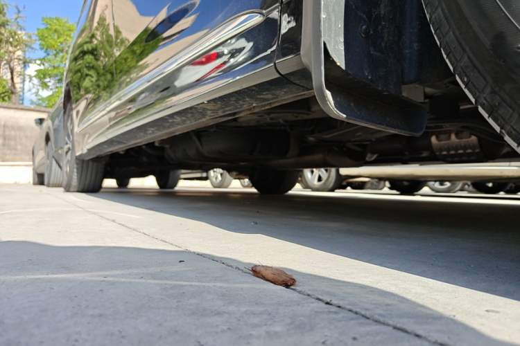 Used GAC Trumpchi M8 2023 Lingxiu Series 390T Deluxe Edition Right Side Sill
