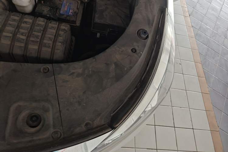 Used GAC Trumpchi M8 2023 Lingxiu Series 390T Luxury Edition Engine Bay Left