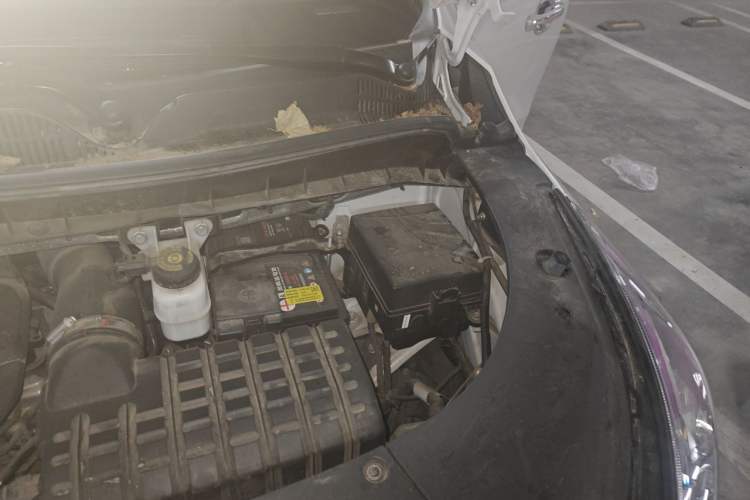 Used GAC Trumpchi M8 2023 Lingxiu Series 390T Deluxe Edition Engine Bay Left