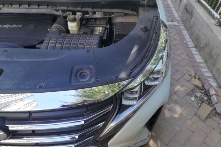 Used GAC Trumpchi M8 2023 Lingxiu Series 390T Deluxe Edition Engine Bay Left