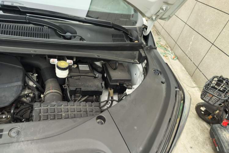 Used GAC Trumpchi M8 2023 Zongshi Series 400T Flagship Edition Engine Bay Left