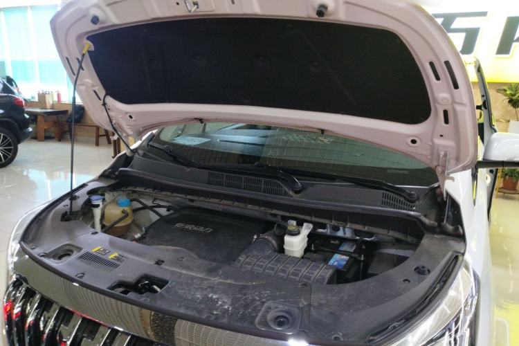 Used GAC Trumpchi M8 2023 Lingxiu Series 390T Prestige Edition Engine Bay