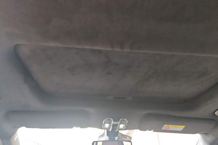Used GAC Trumpchi M8 2023 Zongshi Series Dual-Motor Supreme Edition Headliner