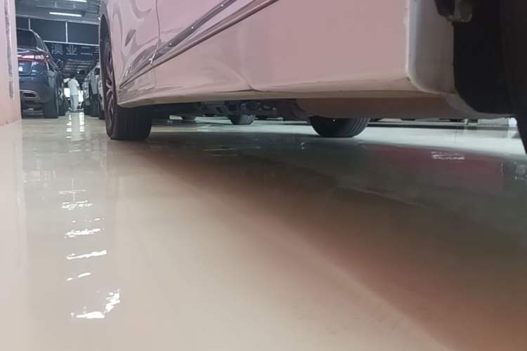 Used GAC Trumpchi M8 2023 Lingxiu Series 390T Luxury Edition Left Side Sill