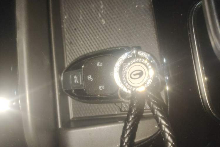 Used GAC Trumpchi M8 2024 Master Series 400T Prestige Edition Vehicle Key