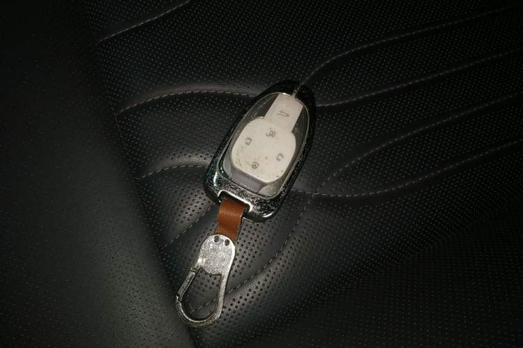 Used GAC Trumpchi M8 2024 Master Series 400T Ultimate Edition Interior 1