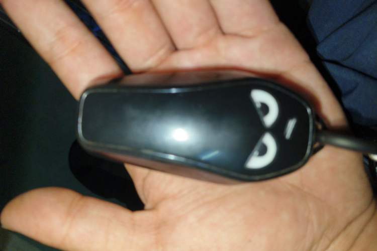 Used GAC Trumpchi M8 2024 Master Series 400T Prestige Edition Vehicle Key