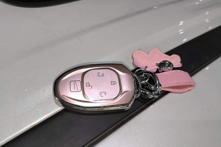Used GAC Trumpchi M8 2024 Master Series 400T Prestige Edition Vehicle Key