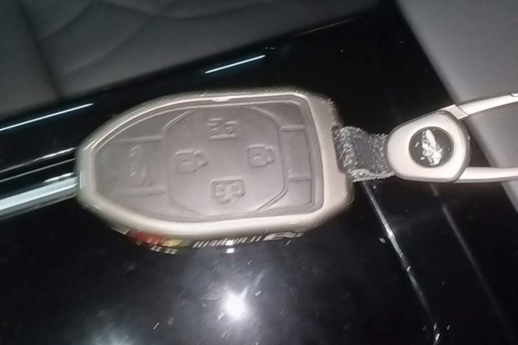 Used GAC Trumpchi M8 2024 Master Series 400T Prestige Edition Vehicle Key