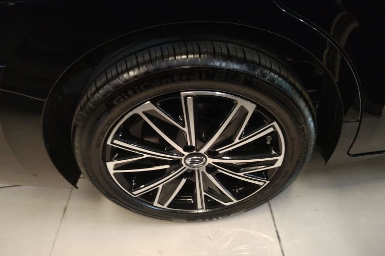 Used GAC Trumpchi E8 2024 Honor Series 2.0L Honor Edition Exterior 8