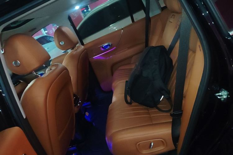 Used GAC Trumpchi S9 2025 Model Qiankun Max 5-Seater Left Rear Seat