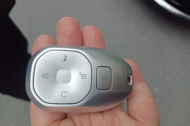 Used GAC Trumpchi S9 2025 Model Qiankun Max 6-Seater Vehicle Key