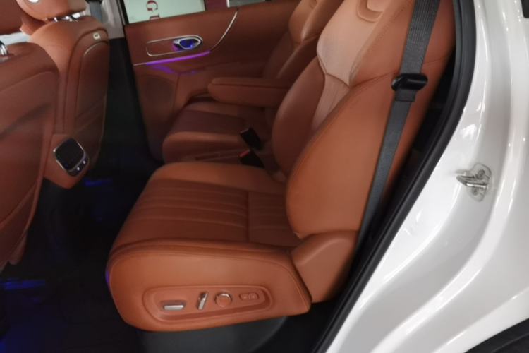 Used GAC Trumpchi S9 2025 Model Qiankun Ultra 6-Seater Left Rear Seat