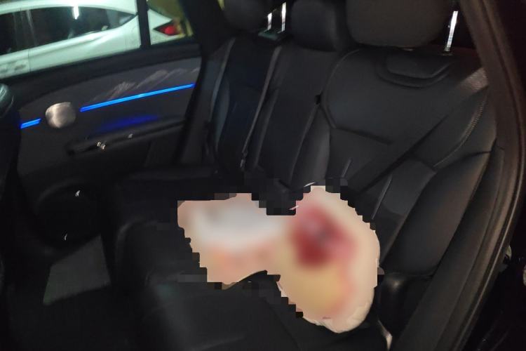 Used GAC Trumpchi Xiangwang S7 2025 205 km Max LiDAR Version Left Rear Seat