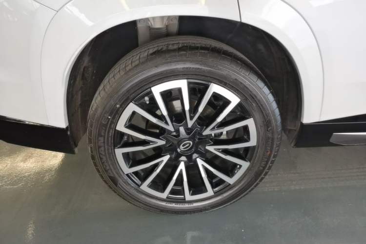 Used GAC Trumpchi Xiangwang S7 2025 205 km Max Version Exterior 5