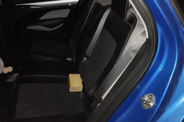 Used Geely Auto Binray 2018 14T CVT Colorful Edition Left Rear Seat