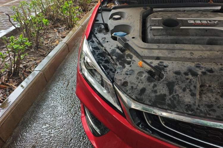 Used Geely Auto Binray 2018 14T CVT Binyi Edition Right Front Headlight